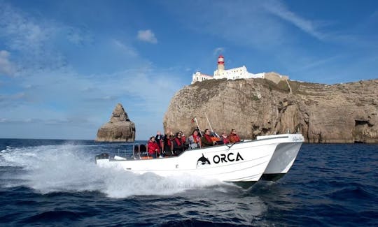 Dolphin Watching in Sagres