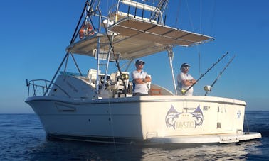 Fishing Charter on the Pursuit Offshore 3000 Yacht