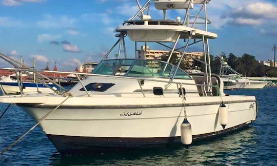 Private Fishing Charter with Experienced Captain in Hurghada
