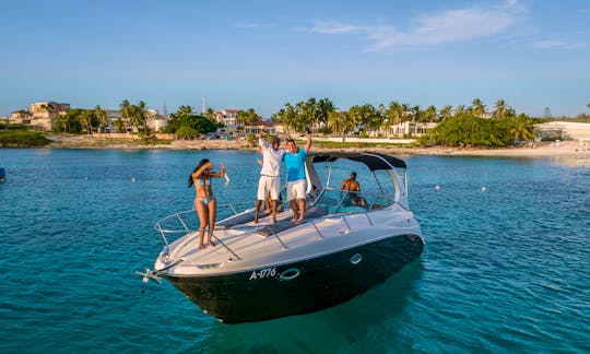 Private Charter In the Blue Waters of Aruba 