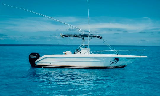 Poseidon 23ft Fishing Boat with authority in Cancún, Quintana Roo