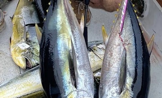 フロリダ州ボカラトンでのガイド付きオフショア釣り旅行！