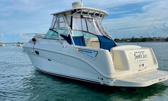 Enjoy Miami with 32ft Sea Ray Amberjack Motor Yacht!