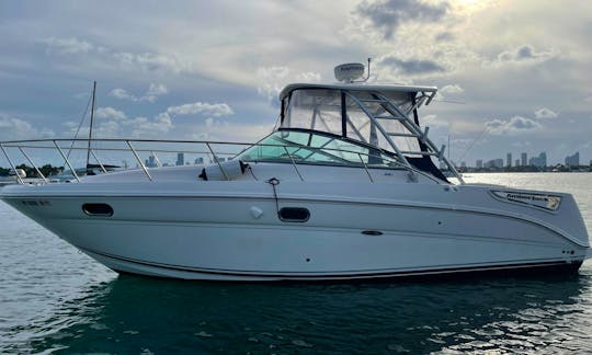 Enjoy Miami with 32ft Sea Ray Amberjack Motor Yacht!