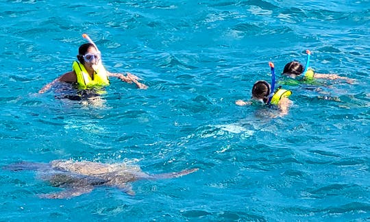 Snorkel with Sea Turtles & Tropical Fish!