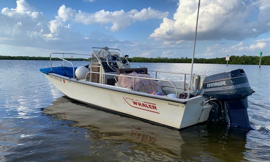 Boston Whaler 17ft for up to 4 people in Punta Gorda
