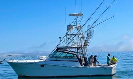 Topaz Express Sport fishing / Cruises from bay to ocean