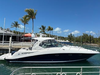 Location de yacht Sea Ray de 45 minutes aux îles Turques et Caïques