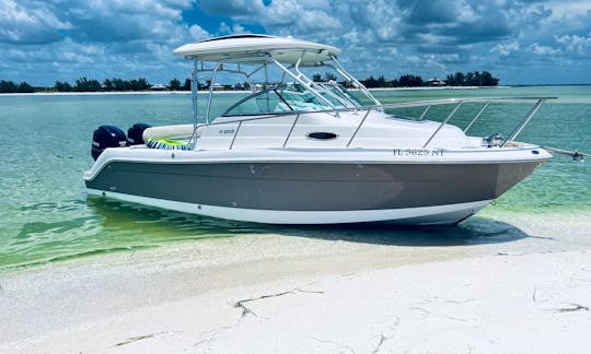 Robalo R245 Twin Engine Power Boat Fun/Adventure in Style in Clearwater, Dunedin, Honeymoon Island, Caladesi Island and other Barrier Islands !