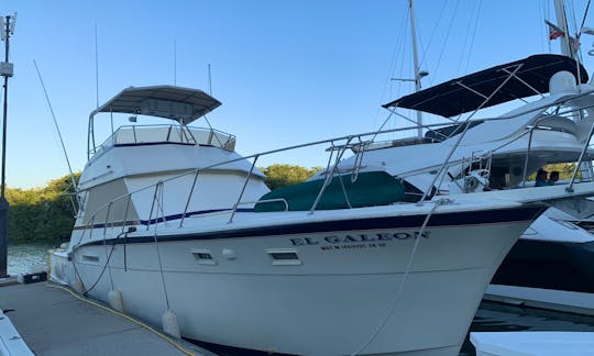 Day trip at Hatteras 46 Motor Yacht to beautiful local beaches of Bahia de Banderas, Mexico