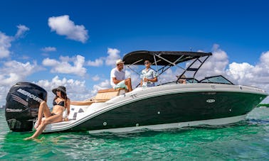 Sea Ray Sun Deck 2019 para até 10 pessoas em Miami Beach