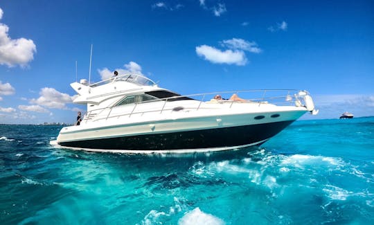 FUN & AFFORDABLE 46 FT SEARAY FLYBRIDGE in Cancun and 1 hour Free Jetski 