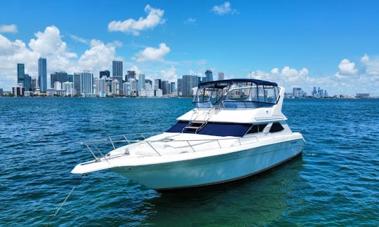 2 50ft Sea Ray Yachts up to 26 people $600hr in Miami, Florida