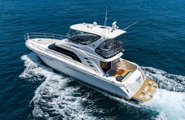 GORGEOUS SEA RAY 560 MOTOR YACHT in San Diego Bay