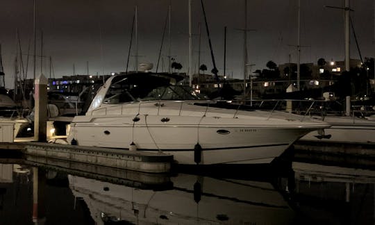 Festa após o expediente Late Night Luxury Yacht 🛥️🎉🥳