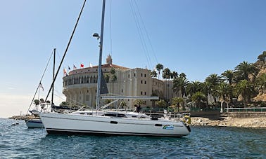 El único alquiler de veleros de Avalon Harbor