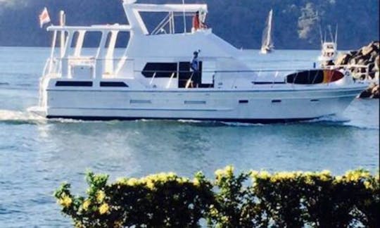 Charter 52' Custom Party  Yacht in Jaco, Costa Rica