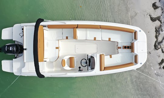 Multi-day 2022 Bayliner DX2000 Available in St. Petersburg, Florida