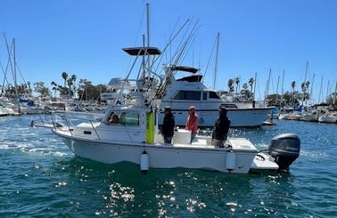 Parker 2320 for Costal Cruises and Fishing Trips in San Diego