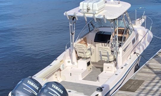 Grady White Voyager 248 Boat for rent in Wilmington, North Carolina