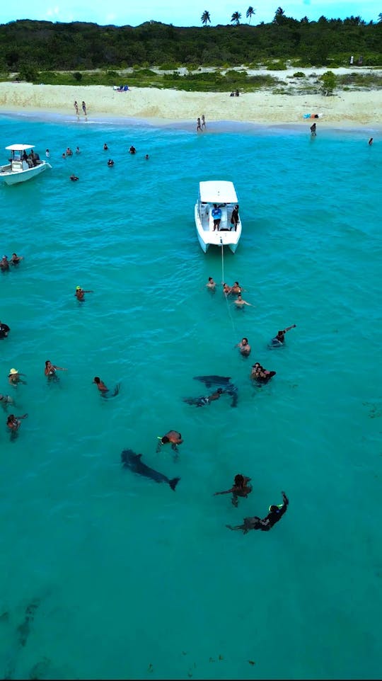 Catamarán Prowler de 25 pies para 6 personas: divertido crucero con esperanza en la isla, esnórquel y alcohol