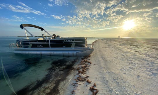 Island tours on Clearwater beach with 2021 SunChaser Pontoon for 6 people