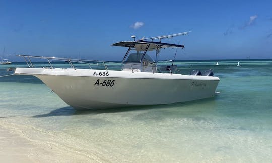 Private Snorkel/Sunset Charters In Aruba | 27ft Center Console for up to 10 gsts