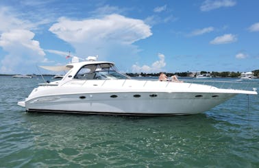 55' Huge SeaRay Motor Yacht- Best Boat in Miami 😍🧡