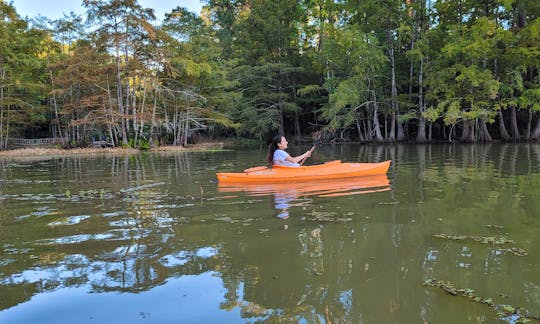 Single Seater Kayak for Rent in Spring, Texas