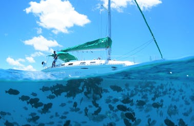 Waikiki Sail and Coral Garden Snorkeling Adventure November Offer *Free Upgrade*
