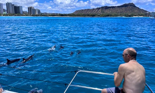 Spinner dolphins of the boat
