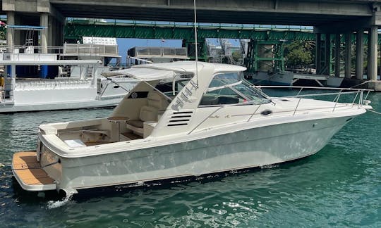 Passeio de iate privado a partir de Casa De Campo, Sea Ray 40 pés - viagens para Catalina ou Saona e Palmillas.
