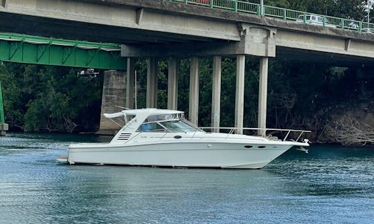 Passeio de iate privado a partir de Casa De Campo, Sea Ray 40 pés - viagens para Catalina ou Saona e Palmillas.