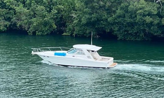 Passeio de iate privado a partir de Casa De Campo, Sea Ray 40 pés - viagens para Catalina ou Saona e Palmillas.