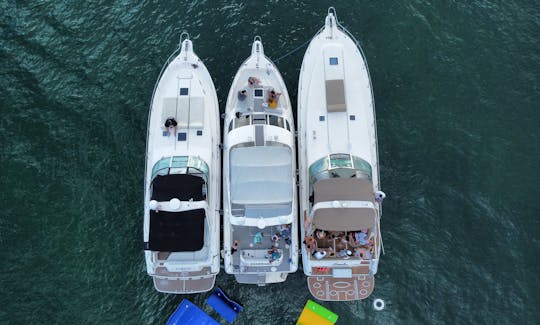 3 yachts for Rent up to 39 people in Miami, Florida