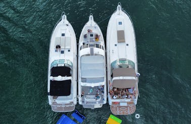 3 yachts for Rent up to 39 people in Miami, Florida