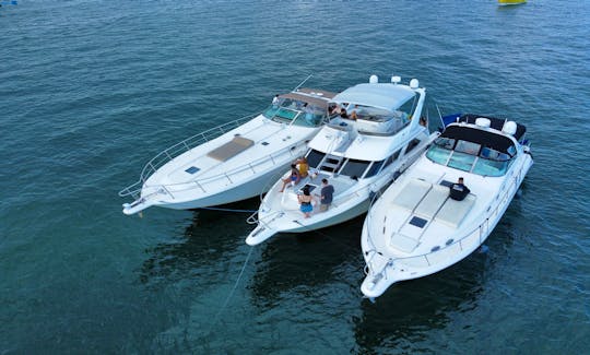 3 yachts for Rent up to 39 people in Miami, Florida