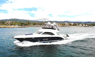 52 Sea Ray Sedan Bridge Sport Cruiser In Rivera, Nayarit