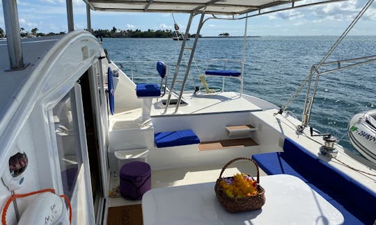 48 Ft Catamaran sailing on the Biscayne Bay . Party, Sound healing, Wingfoil