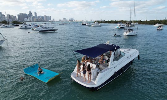 Aluguel de iates a motor Sea Ray 40 em Miami, Flórida