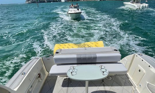 Sea Ray 40 Motor Yacht rental in Miami, Florida