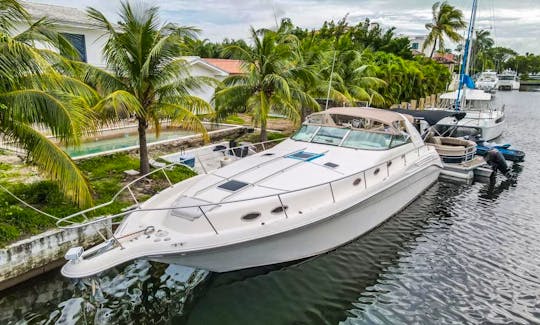 48ft Sea Ray Motor Yacht🛥 Best deal in Miami, Florida!