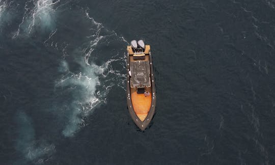 Drone View of Boat