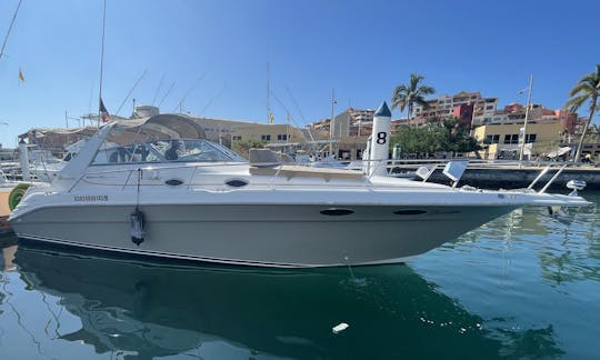 Alquiler de yate a motor Sea Ray Summertime de 34 pies en Cabo San Lucas, México