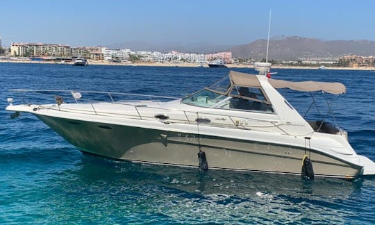 Alquiler de yate a motor Sea Ray Summertime de 34 pies en Cabo San Lucas, México