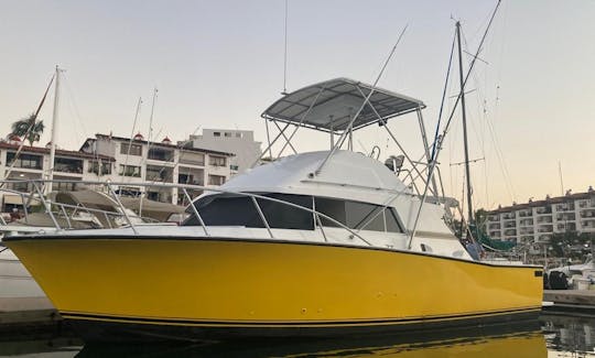 Lovely Bertram 34 SportFishing Charter in Puerto Vallarta, Jalisco