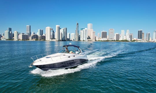 Comfort Onboard! More than 40Ft⚓ | Sea Ray in Miami!