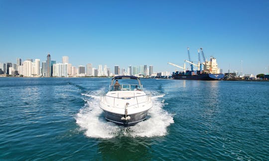 Comfort Onboard! More than 40Ft⚓ | Sea Ray in Miami!