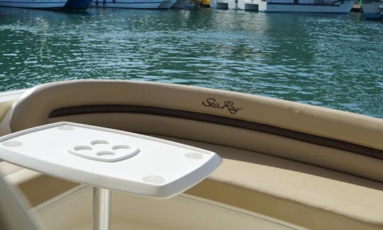 Sea Ray Boat para 12 pessoas pronto para alugar em Punta Cana