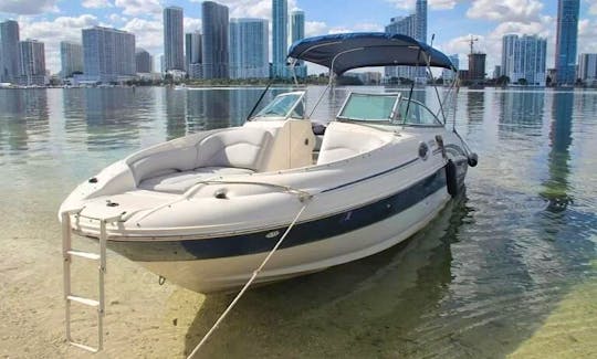 Beautiful searay!!🕶 26ft that give you the best time and comfort⚓